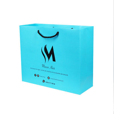 Sacs en papier recyclables de carton de 300GSM 1mm avec le style multi de logos