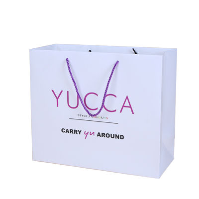 Sacs en papier recyclables de carton de 300GSM 1mm avec le style multi de logos